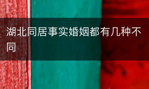 湖北同居事实婚姻都有几种不同