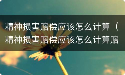 精神损害赔偿应该怎么计算（精神损害赔偿应该怎么计算赔偿金额）