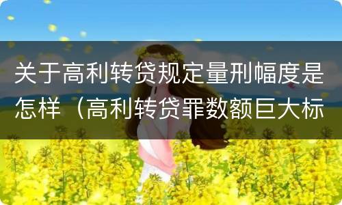 关于高利转贷规定量刑幅度是怎样（高利转贷罪数额巨大标准的法律依据）