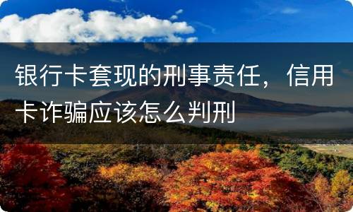 银行卡套现的刑事责任，信用卡诈骗应该怎么判刑