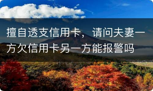 擅自透支信用卡，请问夫妻一方欠信用卡另一方能报警吗