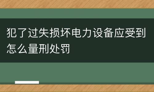 犯了过失损坏电力设备应受到怎么量刑处罚