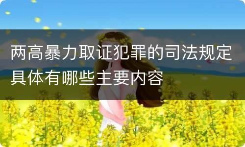 两高暴力取证犯罪的司法规定具体有哪些主要内容