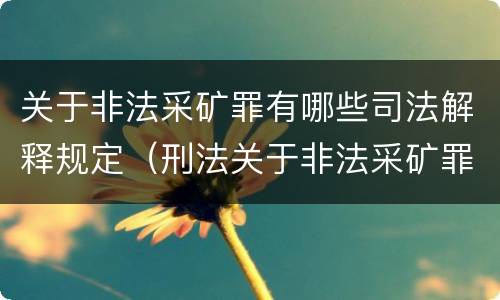 关于非法采矿罪有哪些司法解释规定（刑法关于非法采矿罪的规定）