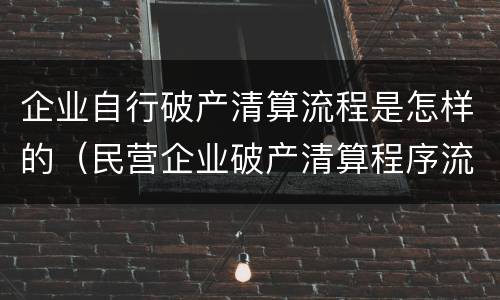 企业自行破产清算流程是怎样的（民营企业破产清算程序流程）