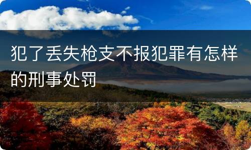 犯了丢失枪支不报犯罪有怎样的刑事处罚
