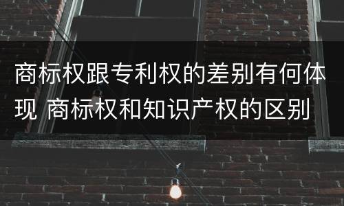 商标权跟专利权的差别有何体现 商标权和知识产权的区别