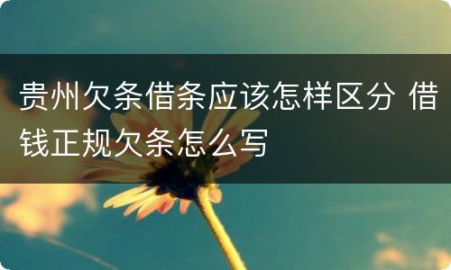 贵州欠条借条应该怎样区分 借钱正规欠条怎么写