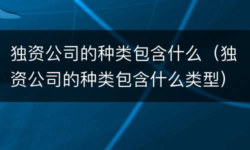独资公司的种类包含什么（独资公司的种类包含什么类型）