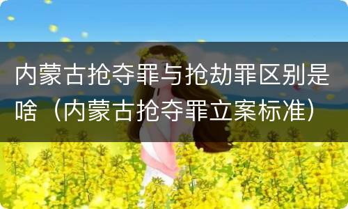 内蒙古抢夺罪与抢劫罪区别是啥（内蒙古抢夺罪立案标准）