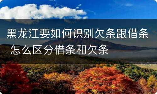 黑龙江要如何识别欠条跟借条 怎么区分借条和欠条