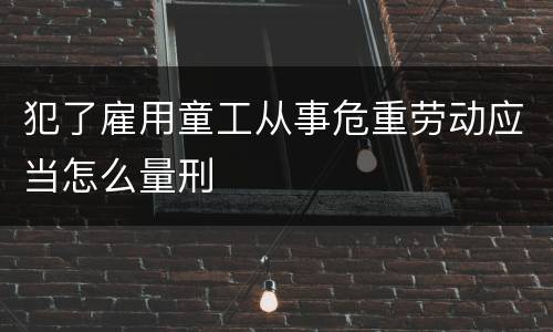犯了雇用童工从事危重劳动应当怎么量刑