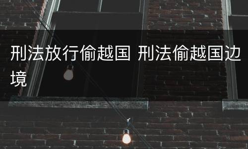 刑法放行偷越国 刑法偷越国边境