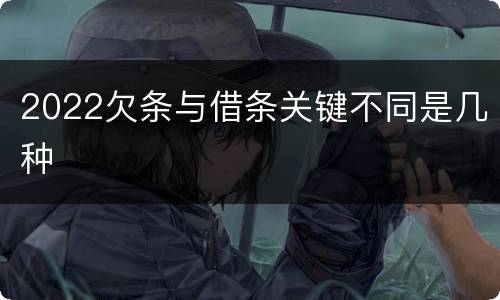 2022欠条与借条关键不同是几种