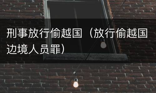 刑事放行偷越国（放行偷越国边境人员罪）