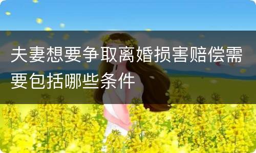 夫妻想要争取离婚损害赔偿需要包括哪些条件