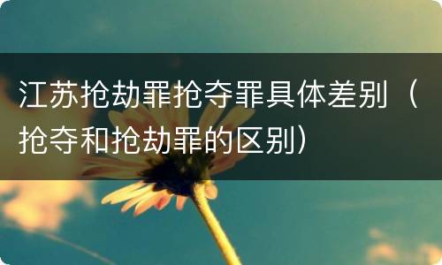 江苏抢劫罪抢夺罪具体差别（抢夺和抢劫罪的区别）