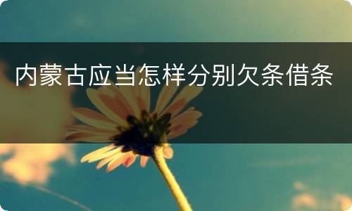 内蒙古应当怎样分别欠条借条