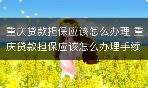 重庆贷款担保应该怎么办理 重庆贷款担保应该怎么办理手续