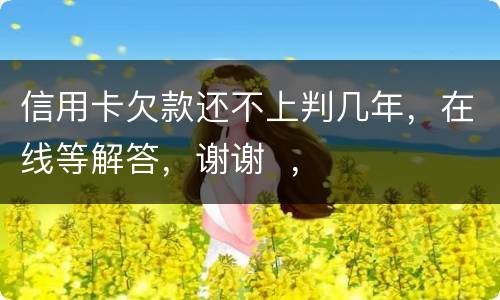 信用卡欠款还不上判几年，在线等解答，谢谢  ，