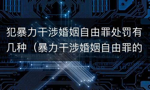 犯暴力干涉婚姻自由罪处罚有几种（暴力干涉婚姻自由罪的结果加重犯）