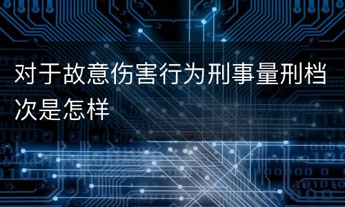 对于故意伤害行为刑事量刑档次是怎样