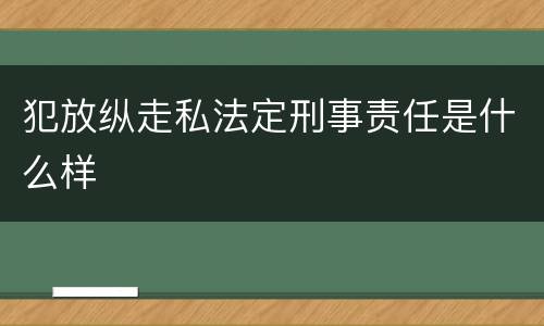 犯放纵走私法定刑事责任是什么样