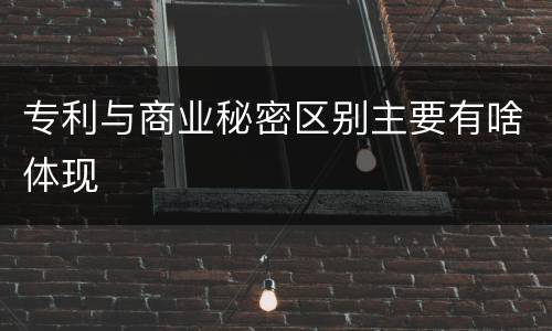 专利与商业秘密区别主要有啥体现