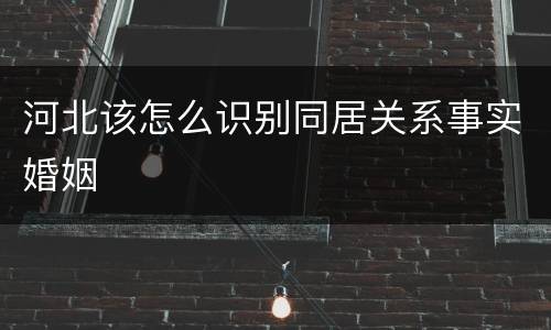 河北该怎么识别同居关系事实婚姻