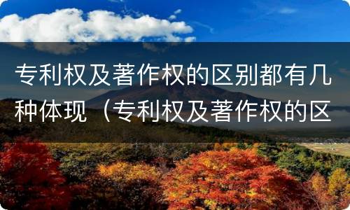 专利权及著作权的区别都有几种体现（专利权及著作权的区别都有几种体现形式）