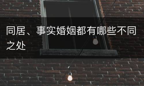 同居、事实婚姻都有哪些不同之处