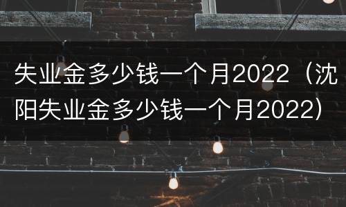 失业金多少钱一个月2022（沈阳失业金多少钱一个月2022）