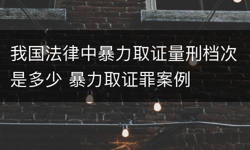 我国法律中暴力取证量刑档次是多少 暴力取证罪案例