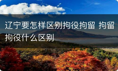 辽宁要怎样区别拘役拘留 拘留拘役什么区别