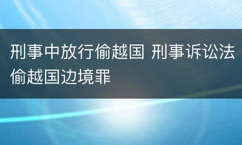 刑事中放行偷越国 刑事诉讼法偷越国边境罪