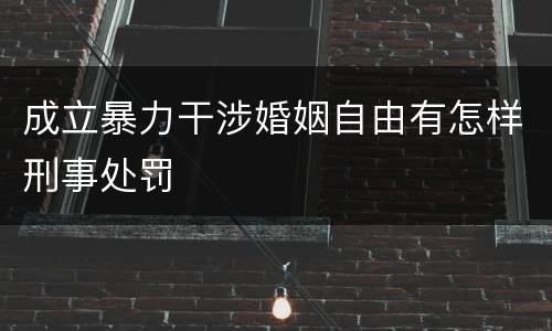 成立暴力干涉婚姻自由有怎样刑事处罚