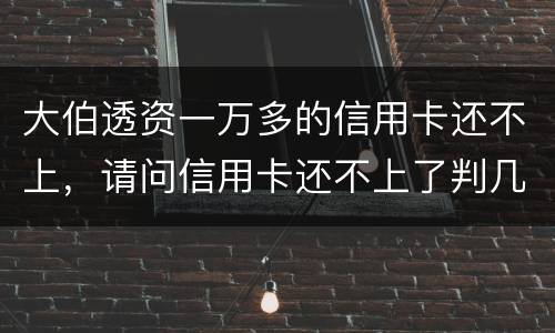 大伯透资一万多的信用卡还不上，请问信用卡还不上了判几年