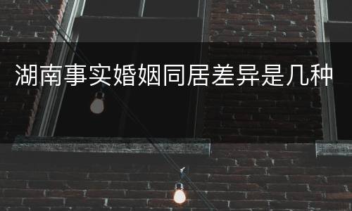 湖南事实婚姻同居差异是几种