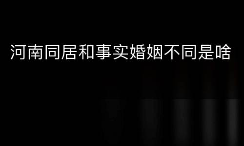 河南同居和事实婚姻不同是啥