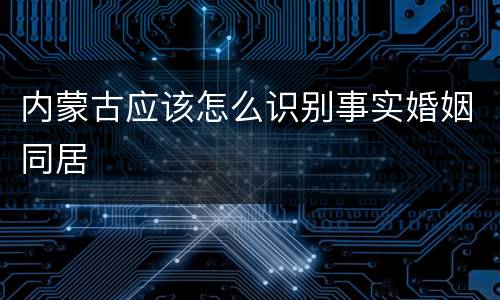 内蒙古应该怎么识别事实婚姻同居