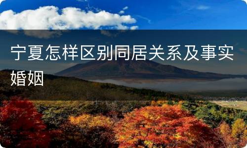 宁夏怎样区别同居关系及事实婚姻