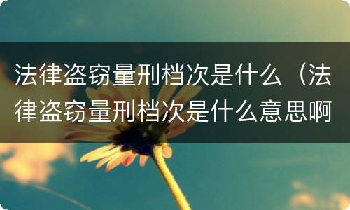 法律盗窃量刑档次是什么（法律盗窃量刑档次是什么意思啊）