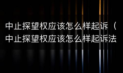 中止探望权应该怎么样起诉（中止探望权应该怎么样起诉法院）