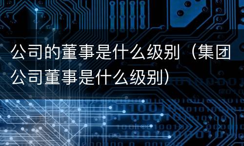 公司的董事是什么级别（集团公司董事是什么级别）