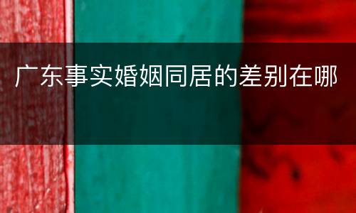 广东事实婚姻同居的差别在哪
