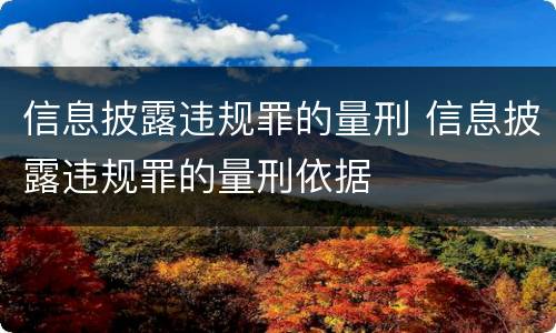 信息披露违规罪的量刑 信息披露违规罪的量刑依据
