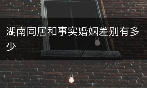 湖南同居和事实婚姻差别有多少