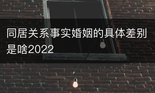 同居关系事实婚姻的具体差别是啥2022
