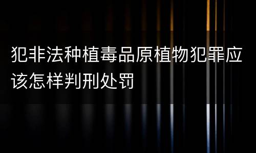 犯非法种植毒品原植物犯罪应该怎样判刑处罚