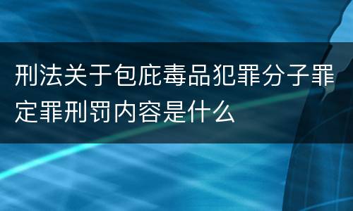 刑法关于包庇毒品犯罪分子罪定罪刑罚内容是什么